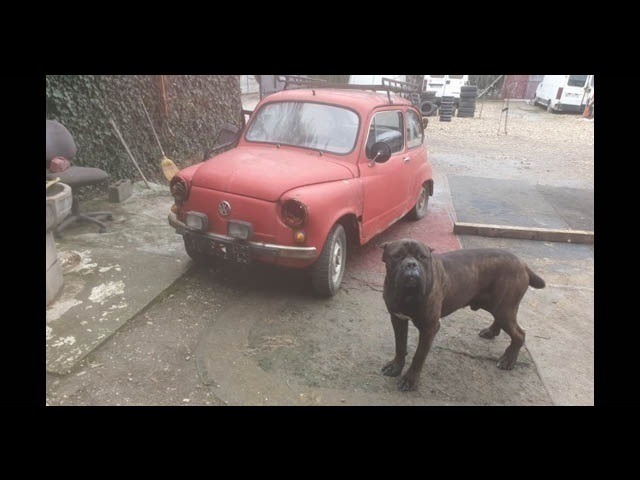 Fiat 600